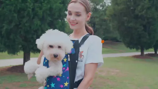 Fashion Wooden Durable Cat Tree Tower Ecofriendly Pet Supplies